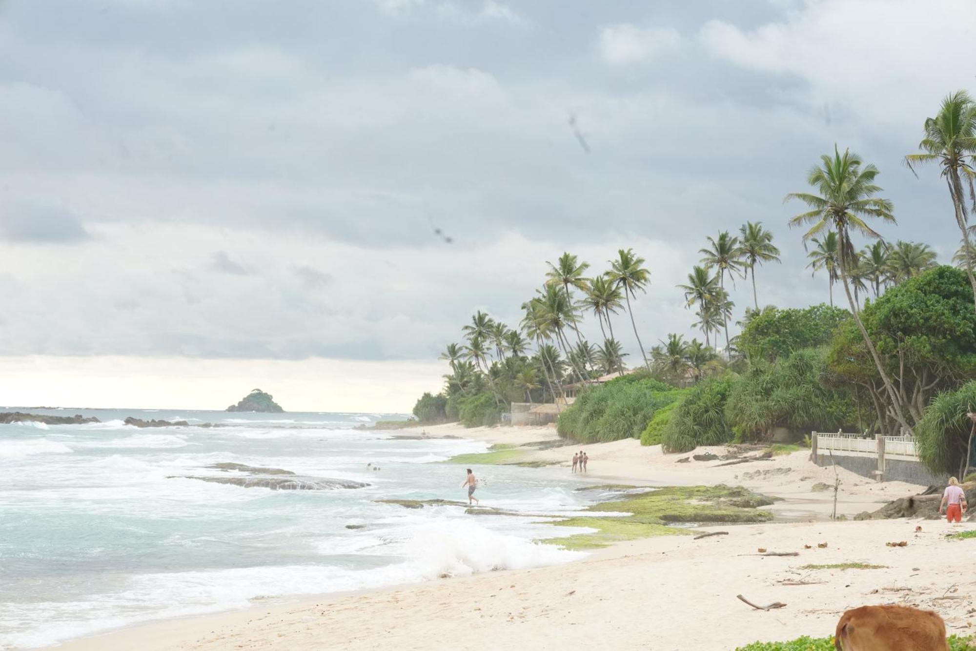 Surf Orchid Villa Велигама Экстерьер фото