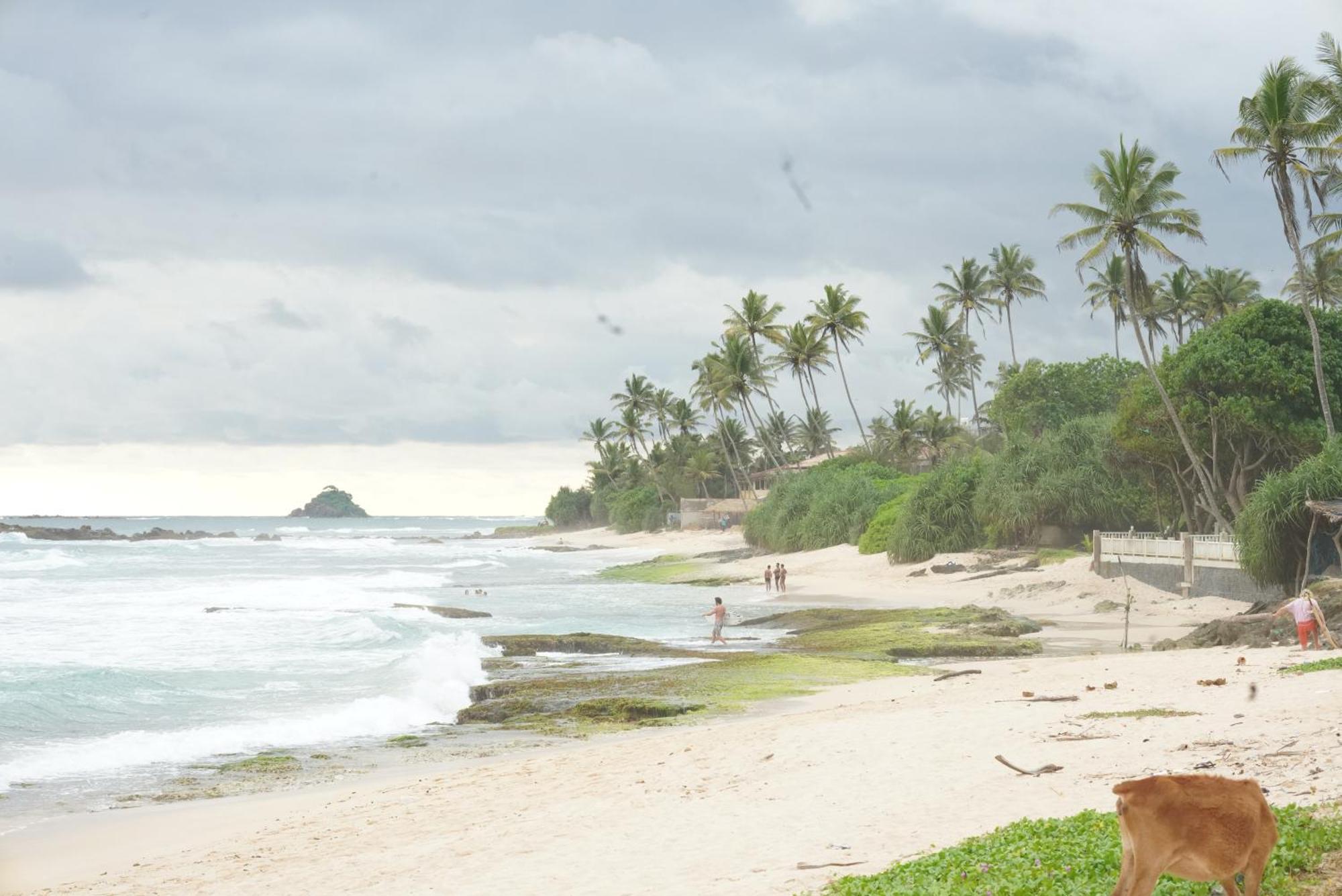 Surf Orchid Villa Велигама Экстерьер фото
