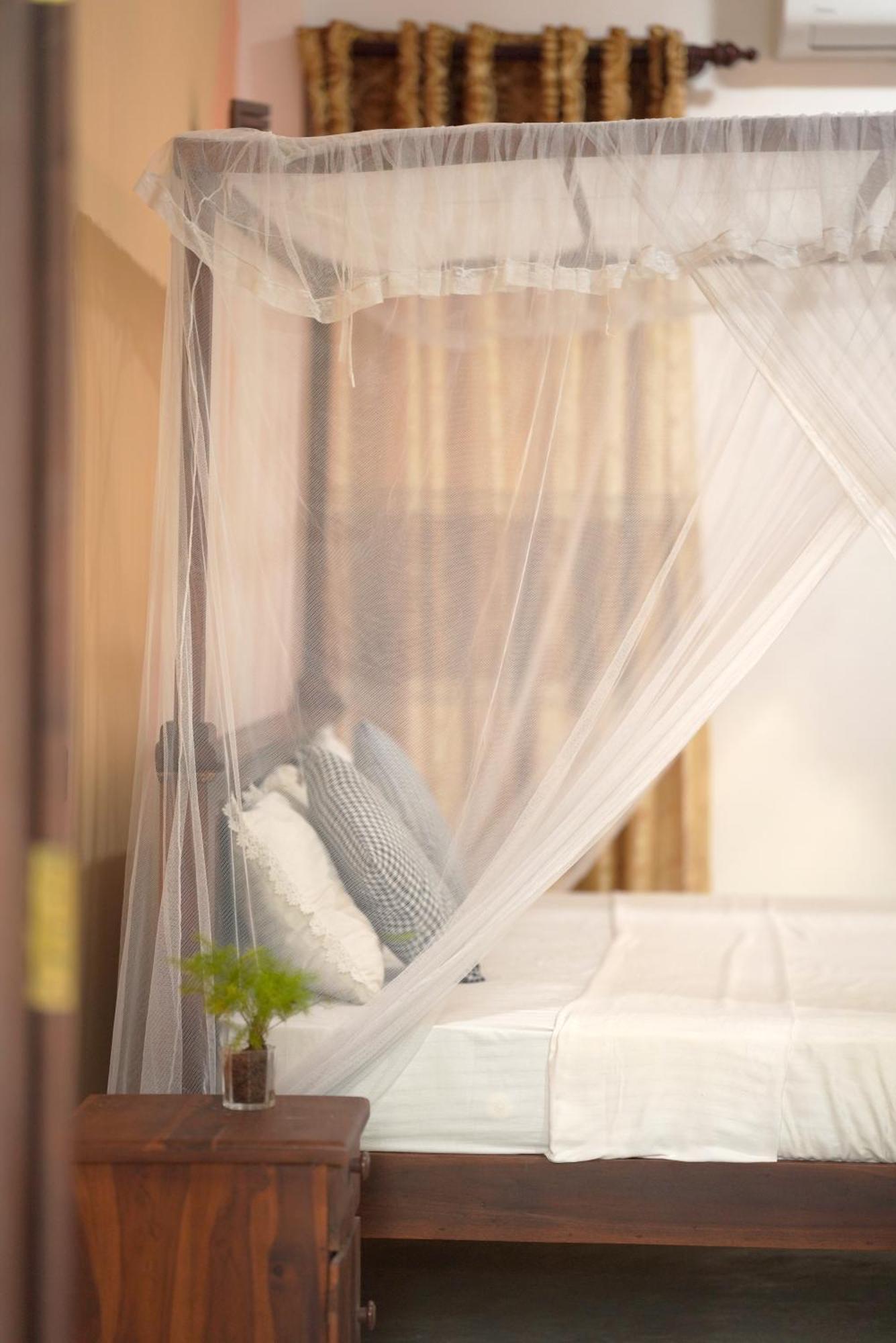 Surf Orchid Villa Велигама Экстерьер фото